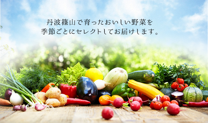 丹波篠山から農家直送の野菜セット